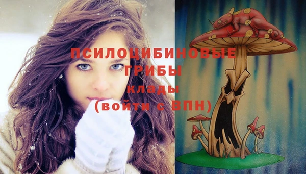 прущая мука Медвежьегорск
